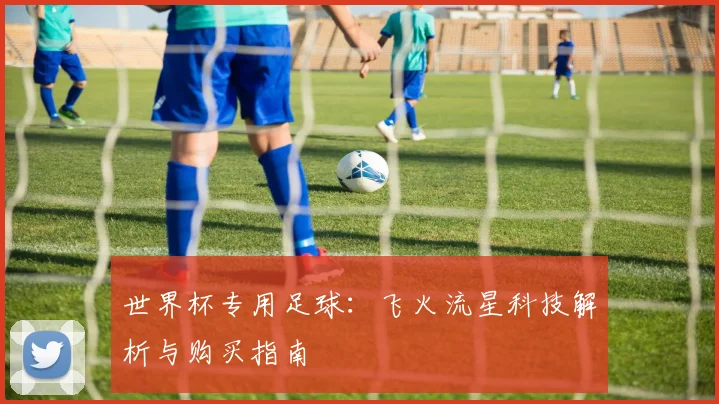 世界杯专用足球：飞火流星科技解析与购买指南