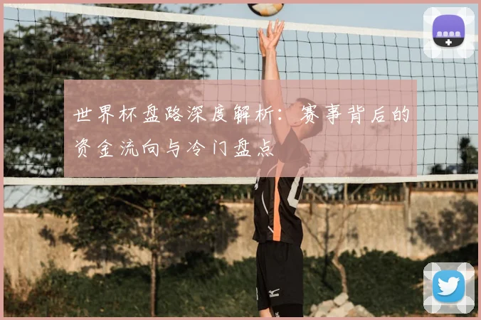 世界杯盘路深度解析：赛事背后的资金流向与冷门盘点