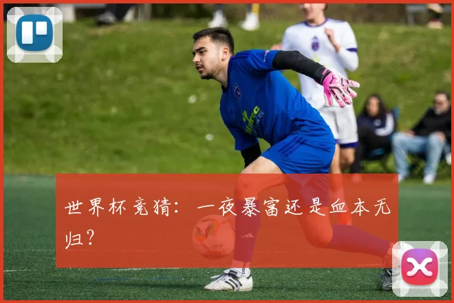 世界杯竞猜：一夜暴富还是血本无归？