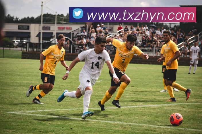 开云app官方版在线入口平台生态图